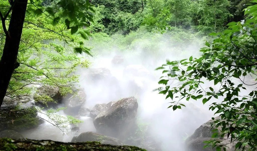 “雾森”系统、“雾森”景观