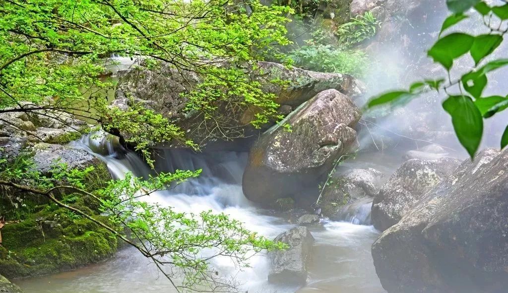 “雾森”系统、“雾森”景观