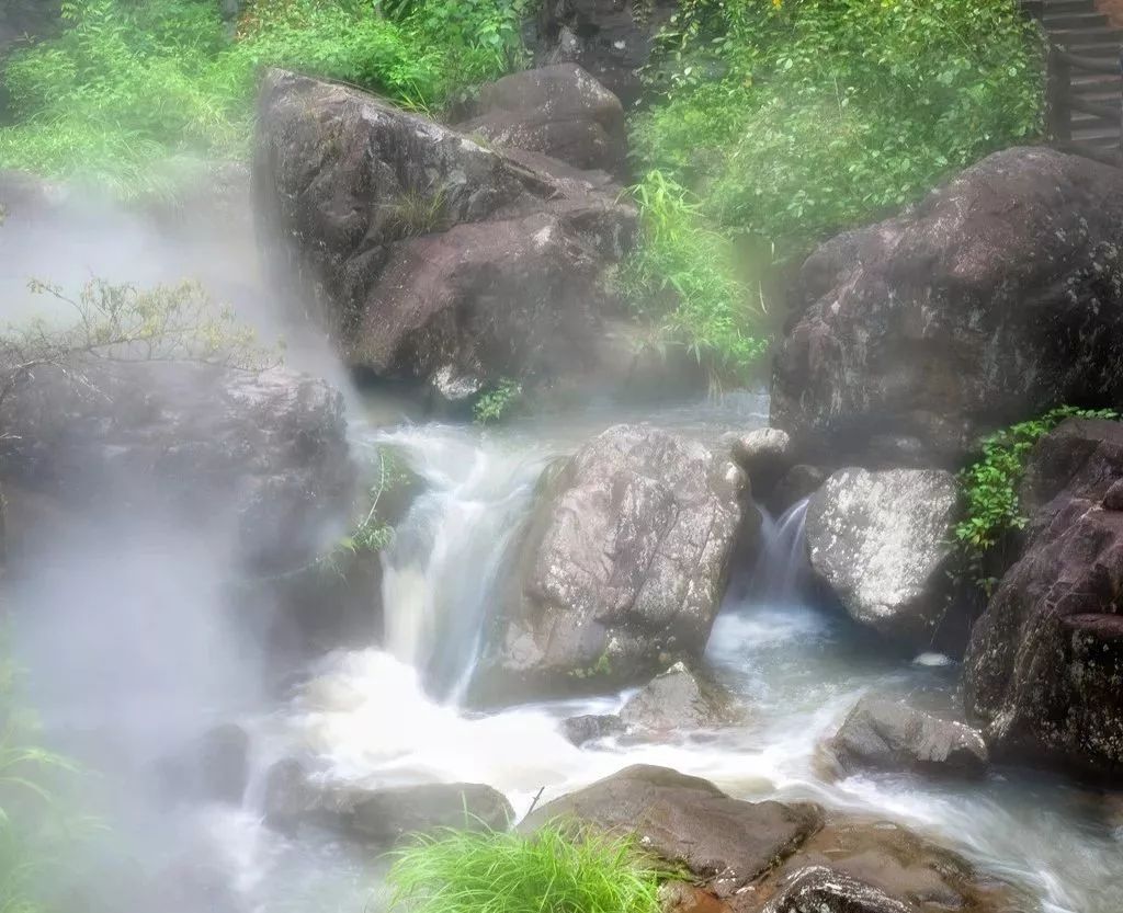 “雾森”系统、“雾森”景观